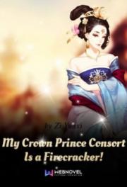 My Crown Prince Consort Is a Firecracker!